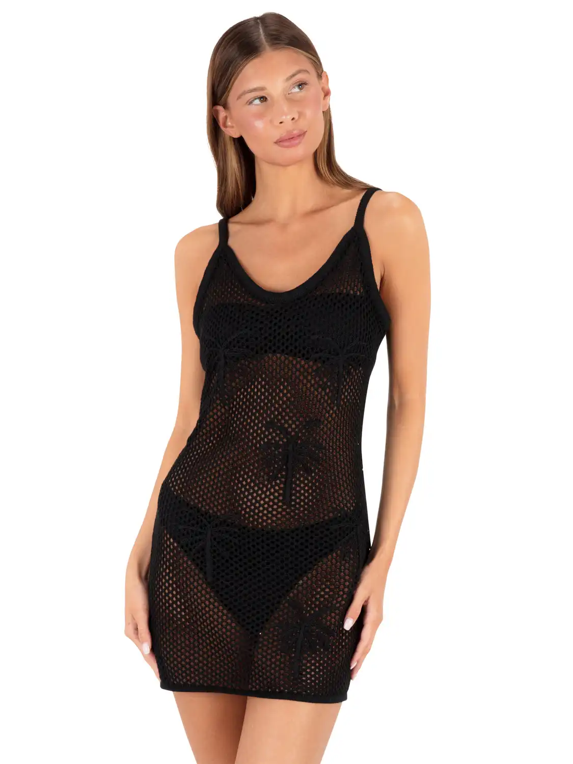Embroidered Crochet Mini Dress