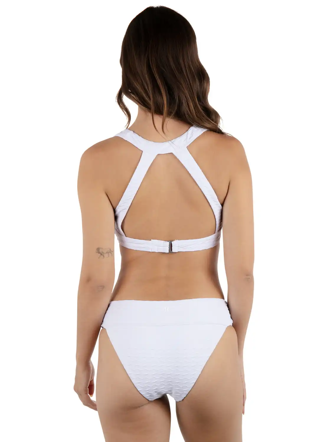 Amphora Banded Hipster Moderate Bikini Bottom