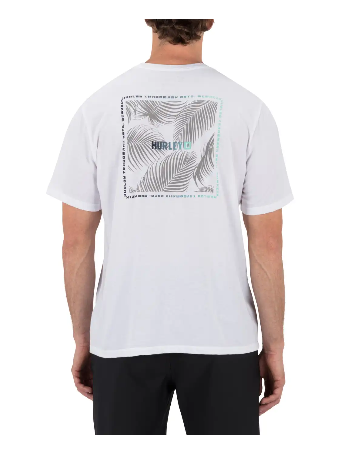 Fern Gradient Short Sleeve